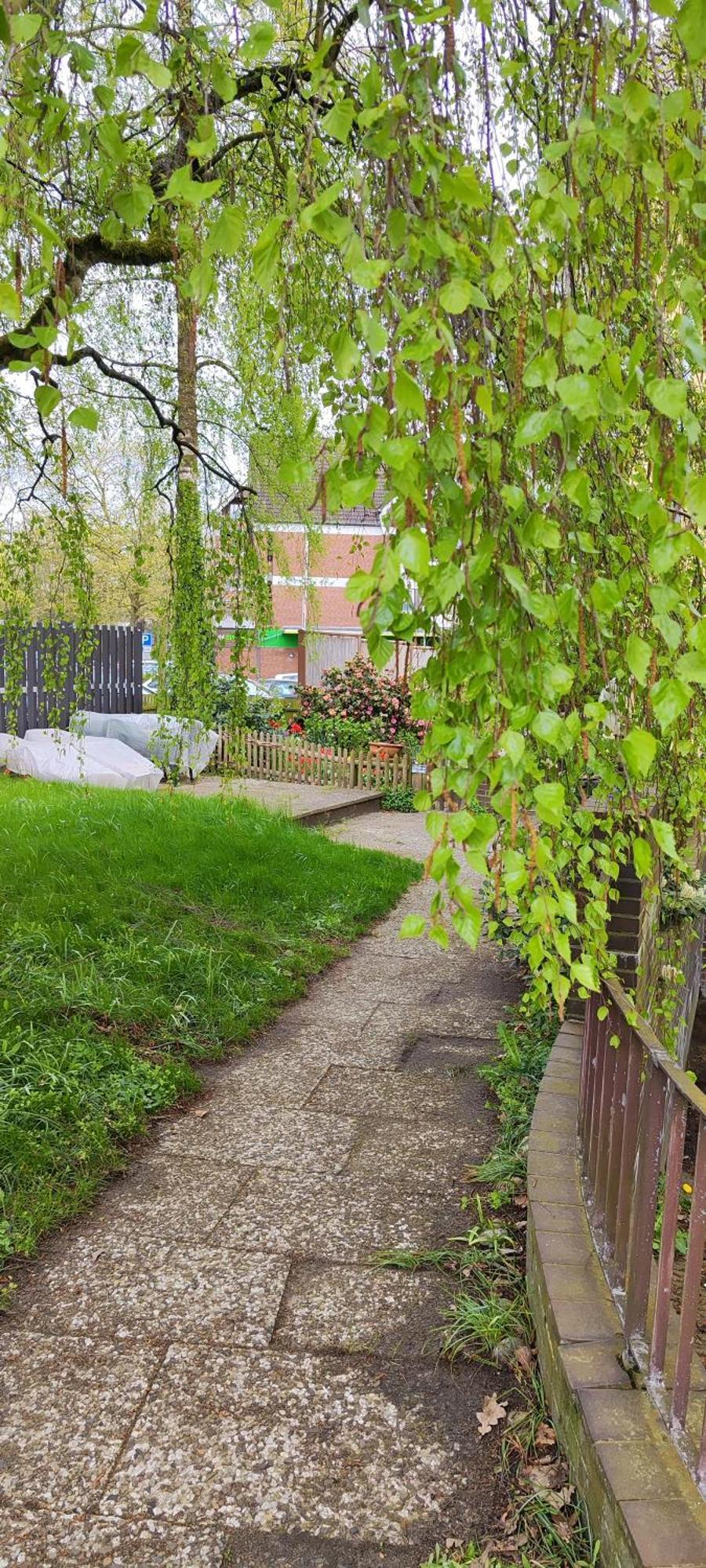 Ferienwohnung Im Herzen Der Lueneburger Heide Soltau Dış mekan fotoğraf